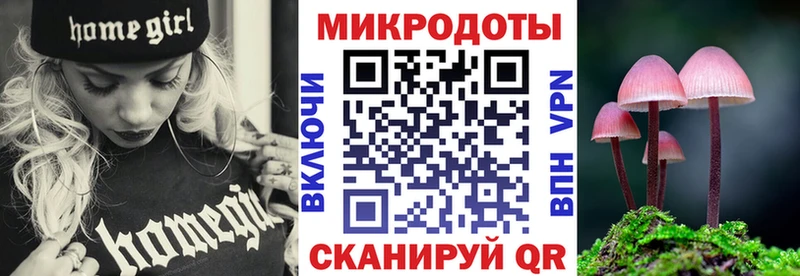 Псилоцибиновые грибы мицелий  Купить где  Зея 